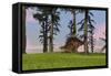 Kentrosaurus Walking across a Grassy Field-null-Framed Stretched Canvas