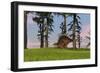 Kentrosaurus Walking across a Grassy Field-null-Framed Art Print