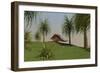 Kentrosaurus Walking across an Open Field-null-Framed Art Print