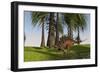 Kentrosaurus Walking Along a Nearby Swamp-null-Framed Art Print