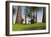 Kentrosaurus Walking Along a Nearby Swamp-null-Framed Art Print