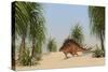 Kentrosaurus Walking in a Tropical Environment-null-Stretched Canvas