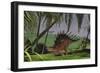 Kentrosaurus Walking Through a Field, with a Ceratosaurus in Background-null-Framed Art Print