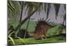 Kentrosaurus Walking Through a Field, with a Ceratosaurus in Background-null-Mounted Art Print