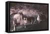 Kents Cavern-Charles Woof-Framed Stretched Canvas