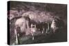 Kents Cavern-Charles Woof-Stretched Canvas