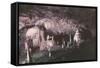 Kents Cavern-Charles Woof-Framed Stretched Canvas