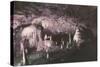 Kents Cavern-Charles Woof-Stretched Canvas