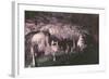 Kents Cavern-Charles Woof-Framed Photographic Print