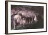 Kents Cavern-Charles Woof-Framed Photographic Print