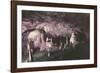 Kents Cavern-Charles Woof-Framed Photographic Print