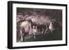 Kents Cavern-Charles Woof-Framed Photographic Print