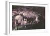 Kents Cavern-Charles Woof-Framed Photographic Print