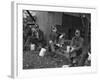 Kentucky Coal Miners, Jenkins, Kentucky, c.1935-Ben Shahn-Framed Photo