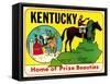 Kentucky Decal-null-Framed Stretched Canvas