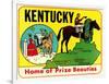 Kentucky Decal-null-Framed Art Print