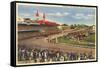 Kentucky Derby, Louisville, Kentucky-null-Framed Stretched Canvas