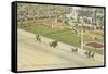 Kentucky Derby, Louisville-null-Framed Stretched Canvas