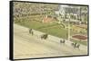 Kentucky Derby, Louisville-null-Framed Stretched Canvas