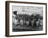 Kentucky Derby-null-Framed Photographic Print