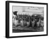 Kentucky Derby-null-Framed Photographic Print