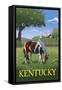 Kentucky - Horse in Field-Lantern Press-Framed Stretched Canvas
