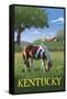 Kentucky - Horse in Field-Lantern Press-Framed Stretched Canvas