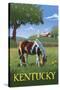 Kentucky - Horse in Field-Lantern Press-Stretched Canvas