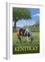 Kentucky - Horse in Field-Lantern Press-Framed Art Print