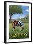 Kentucky - Horse in Field-Lantern Press-Framed Art Print