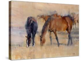 Kentucky Morning 1-Valtcho Tonov-Stretched Canvas