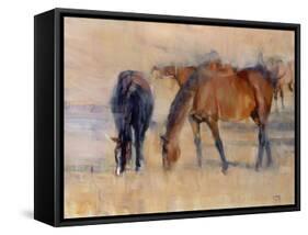 Kentucky Morning 1-Valtcho Tonov-Framed Stretched Canvas