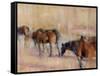 Kentucky Morning-Valtcho Tonov-Framed Stretched Canvas