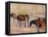 Kentucky Morning-Valtcho Tonov-Framed Stretched Canvas