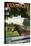 Kentucky - Thoroughbred Horses Farm Scene-Lantern Press-Stretched Canvas