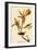 Kentucky Warbler-John James Audubon-Framed Giclee Print