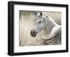 Kentucky-Tyson Estes-Framed Giclee Print