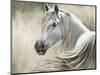 Kentucky-Tyson Estes-Mounted Giclee Print