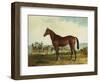 Kentucky-Edward Troye-Framed Giclee Print