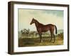 Kentucky-Edward Troye-Framed Giclee Print