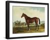 Kentucky-Edward Troye-Framed Giclee Print