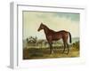 Kentucky-Edward Troye-Framed Giclee Print