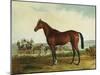 Kentucky-Edward Troye-Mounted Giclee Print
