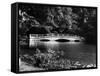 Kenwood House Bridge-Fred Musto-Framed Stretched Canvas