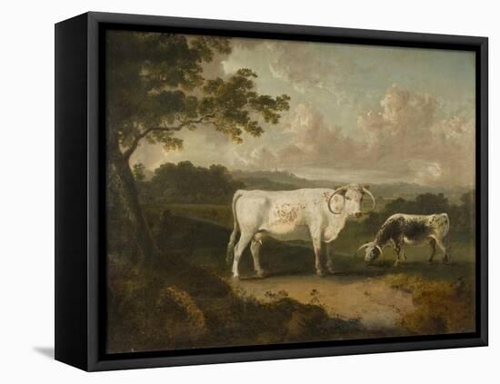 Kenwood, Lord Mansfield's Pedigree Cattle, 1797-Julius Caesar Ibbetson-Framed Stretched Canvas