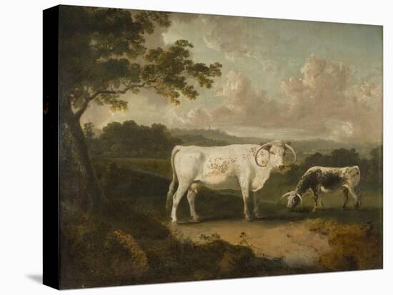 Kenwood, Lord Mansfield's Pedigree Cattle, 1797-Julius Caesar Ibbetson-Stretched Canvas