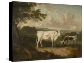 Kenwood, Lord Mansfield's Pedigree Cattle, 1797-Julius Caesar Ibbetson-Stretched Canvas