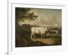 Kenwood, Lord Mansfield's Pedigree Cattle, 1797-Julius Caesar Ibbetson-Framed Giclee Print