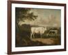 Kenwood, Lord Mansfield's Pedigree Cattle, 1797-Julius Caesar Ibbetson-Framed Giclee Print