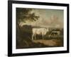 Kenwood, Lord Mansfield's Pedigree Cattle, 1797-Julius Caesar Ibbetson-Framed Giclee Print